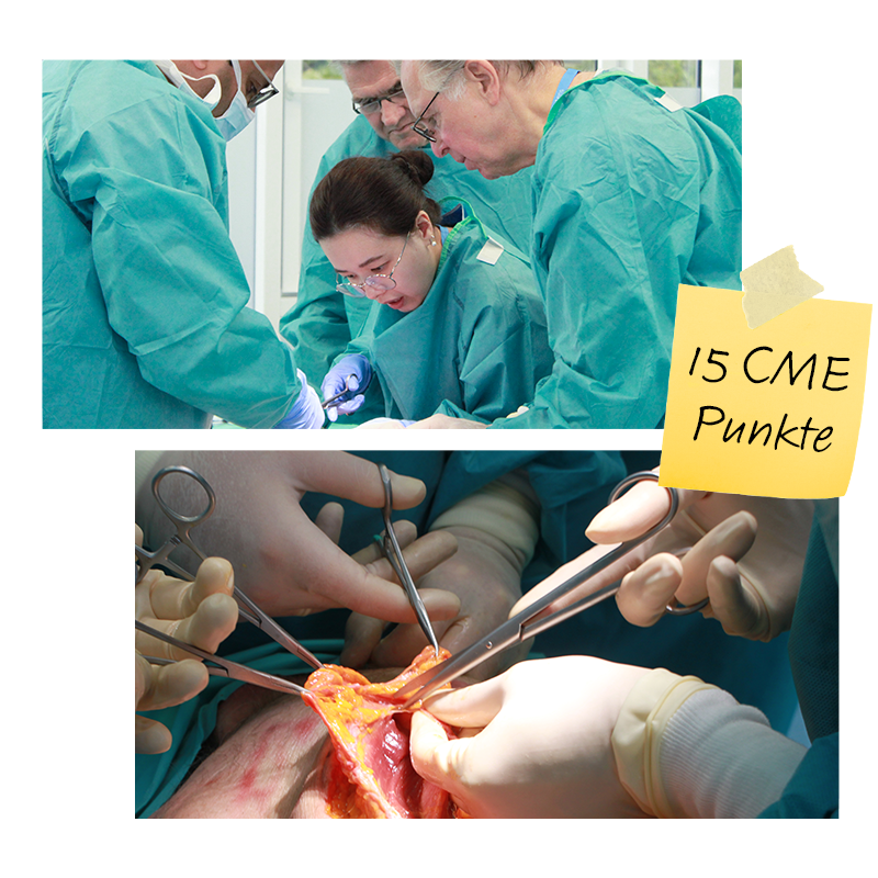 Header Image Landingpage_2026-DE_no shadow