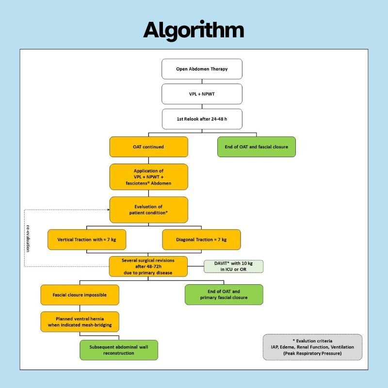 Infographic_Abdomen_Mones_EN