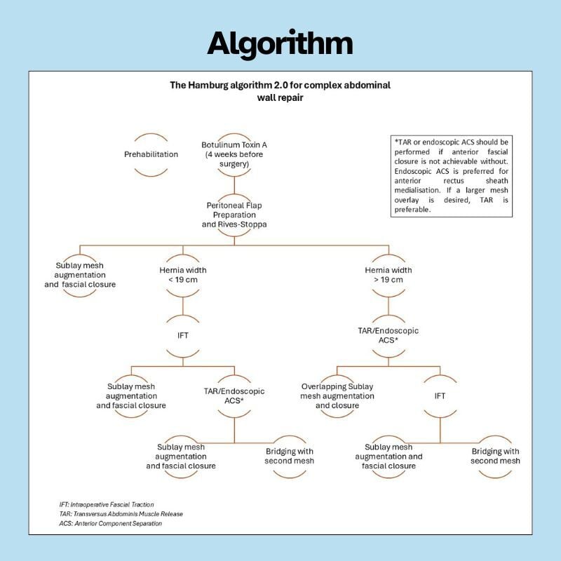 Infographic_Hernia_Niebuhr-Algorithm_EN
